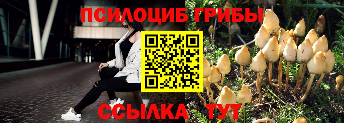 Галлюциногенные грибы ЛСД  Вход с VPN  закладка  Галлюциногенные грибы мухоморы  Гурьевск 
