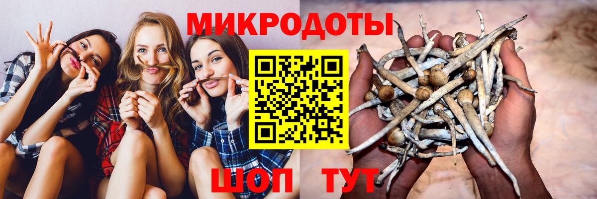 Галлюциногенные грибы MAGIC MUSHROOMS Гурьевск